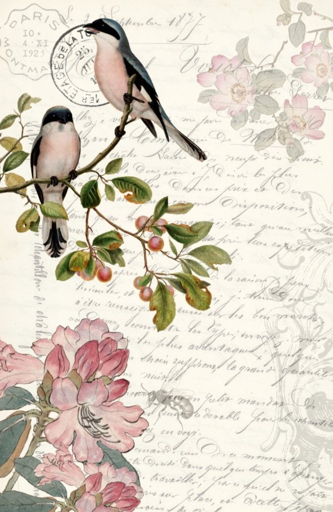 Decoupage Paper - Spring Bird