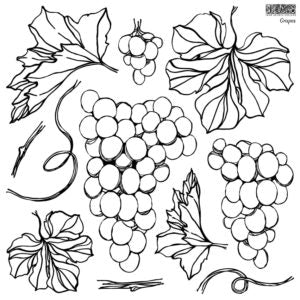 IOD Designs Stamp -  Grapes 12